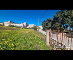 Castelvetrano terreno via bresciana 18000 mq - 10