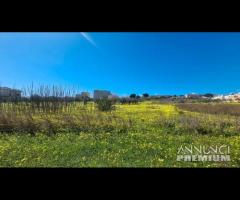 Castelvetrano terreno via bresciana 18000 mq - 14