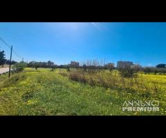 Castelvetrano terreno via bresciana 18000 mq - 15