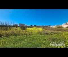 Castelvetrano terreno via bresciana 18000 mq - 17