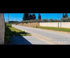 Castelvetrano locale 200 con spazio est. 1400 mq - 7