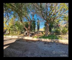 CAPANNONE TERRENO e Villa con piscina - 15