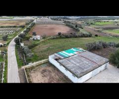 CAPANNONE TERRENO e Villa con piscina - 22