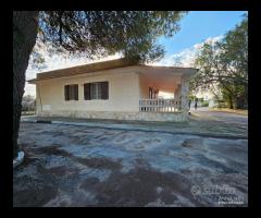 CAPANNONE TERRENO e Villa con piscina - 28