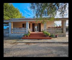 CAPANNONE TERRENO e Villa con piscina - 30