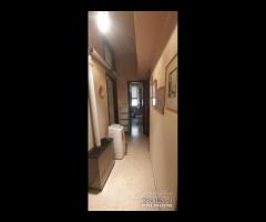 Messina Centro, pressi Verona Trento, 3 vani più - 15