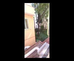 Messina Centro, pressi Verona Trento, 3 vani più - 27