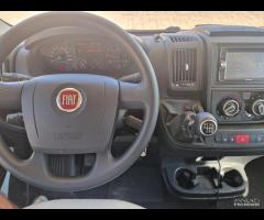 Mc Louis Glamys gold 40 - 23