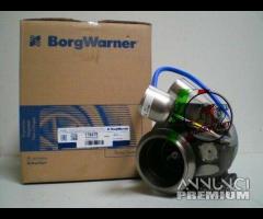 CAT-SCHWITZER - 178479 173264 171845