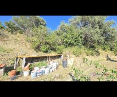 Indipendente con piscina a 2KM dal mare - 26