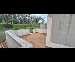 Piano Torre, semi indipendente con spazi esterni - 6