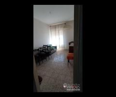 Quadrivani in zona Santa Lucia sopra contesse - 6