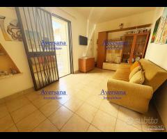 Porzione di cortile semindipendente - 9