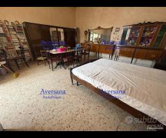 Porzione di cortile semindipendente - 21