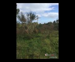 Terreno a Castanea Rif.MFE-5493