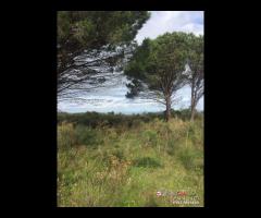 Terreno a Castanea Rif.MFE-5493 - 6