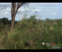 Terreno a Castanea Rif.MFE-5493 - 7