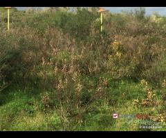 Terreno a Castanea Rif.MFE-5493 - 8