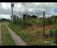 Terreno a Castanea Rif.MFE-5493 - 13