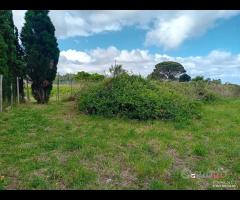 Terreno a Castanea Rif.MFE-5493 - 14