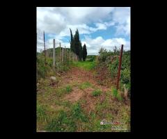 Terreno a Castanea Rif.MFE-5493 - 16