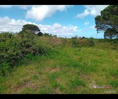 Terreno a Castanea Rif.MFE-5493 - 17