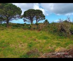 Terreno a Castanea Rif.MFE-5493 - 18