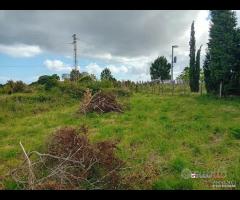 Terreno a Castanea Rif.MFE-5493 - 19