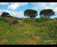 Terreno a Castanea Rif.MFE-5493 - 20