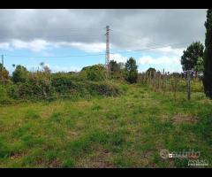 Terreno a Castanea Rif.MFE-5493 - 21