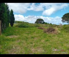 Terreno a Castanea Rif.MFE-5493 - 24