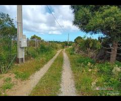 Terreno a Castanea Rif.MFE-5493 - 25