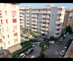 Michelangelo/Bernini 7vani in residence rif_197/25 - 7