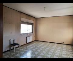 Michelangelo/Bernini 7vani in residence rif_197/25 - 15