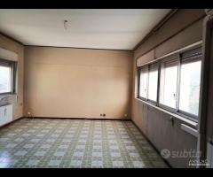 Michelangelo/Bernini 7vani in residence rif_197/25 - 16