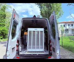 Mercedes BUS/PULMINO PARI AL NUOVOOO 100 MILA KM - 7