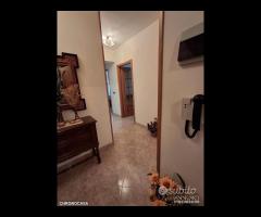 Luminoso e panoramico quadrivani Bordonaro - 22