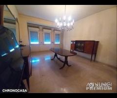 Ampio e Luminoso Quadrivani Viale Della Libertà - 10