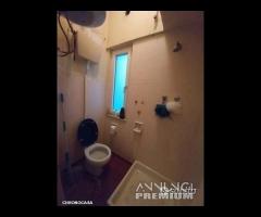 Ampio e Luminoso Quadrivani Viale Della Libertà - 13