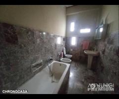 Ampio e Luminoso Quadrivani Viale Della Libertà - 18