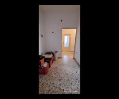 San Filippo,pressi rifornimento agip,4 vani e - 10