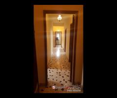 Via Placida,3 camere per studenti/impiegati,uso - 9