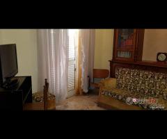 Via Placida,3 camere per studenti/impiegati,uso - 11