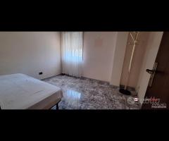 Pressi v.Europa, trivani e servizi con ampio - 11