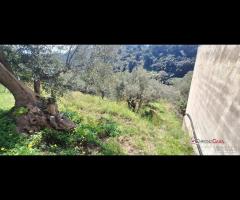 Rodia, terreno agricolo di circa 1000 mq