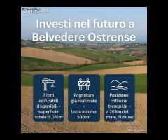 Terreno Edificabile a Belvedere Ostrense