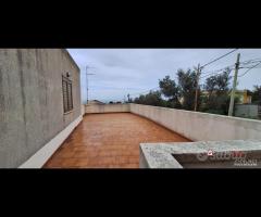 Piano Torre, semi indipendente con spazi esterni - 8