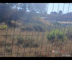 Terreno con deposito - 6