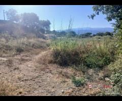 Terreno con deposito - 11