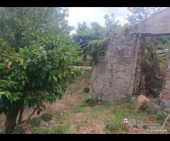 Appartamento con terreno - 9